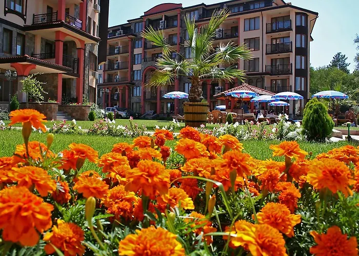 Hotel South - New Management And Free Access Carevo
