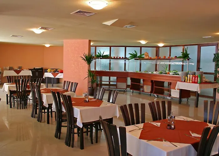 South - New Management&free Access