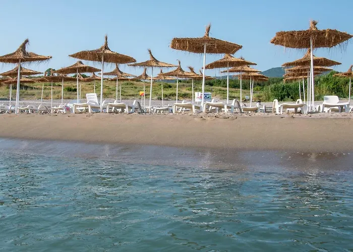 South - New Management&free Access 4* Zarewo